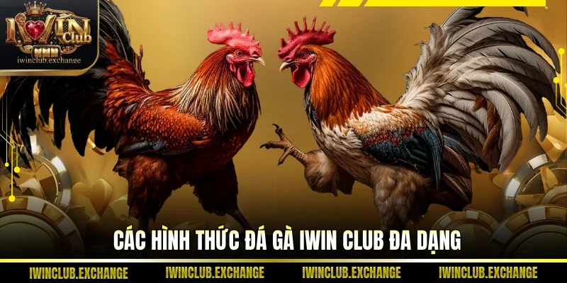 Các hình thức Đá Gà IWIN Club đa dạng