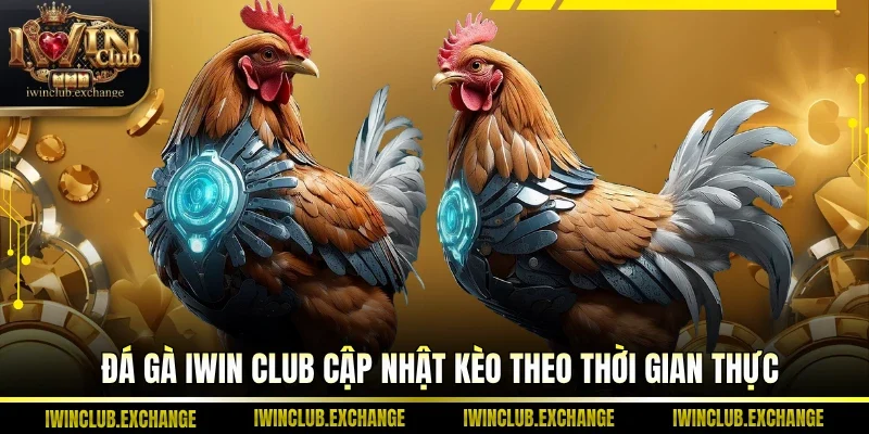 Đá Gà IWIN Club cập nhật kèo theo thời gian thực